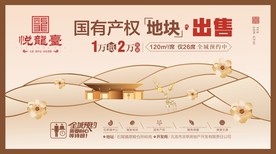 高端房地产 中式广告设计