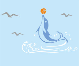 海豚