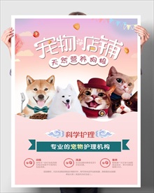 宠物店铺 宠物护理