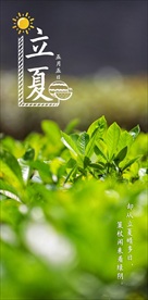 立夏节气海报摄影照片