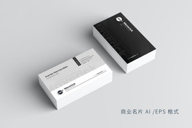 高端创意简约大气时尚商务名片