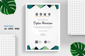 专业证书/文凭模板 荣誉证书