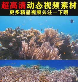 海底世界海洋主题婚礼LED视频