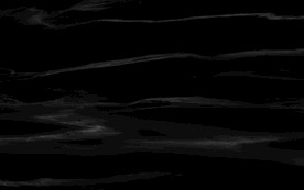 酒店TIF合层 黑色纹理