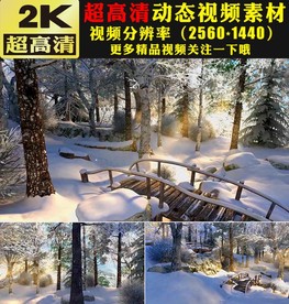 童话世界冬天冬季雪景实拍视频