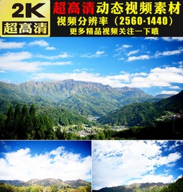 高山森林树木小草蓝天白云视频