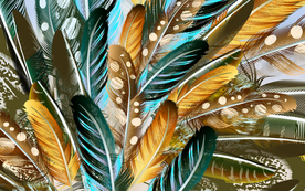 彩色羽毛背景装饰画