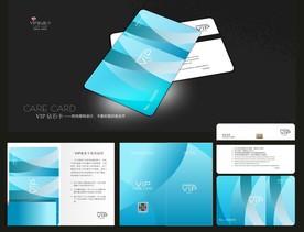 VIP卡 会员卡