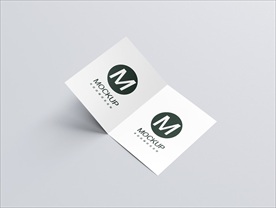 二折页宣传样机