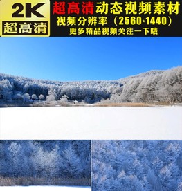 唯美冬天雪景雪松雪山雪峰视频