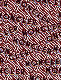 风衣布字母斑马条纹