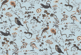 动物 鹦鹉 蜥蜴