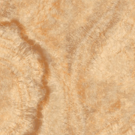 橙色豪华纹理 PSD通道分层