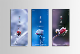 二十四节气寒露