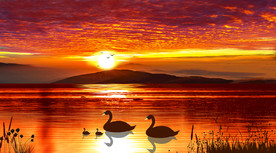 油画风景意境山水画欧美风景油画