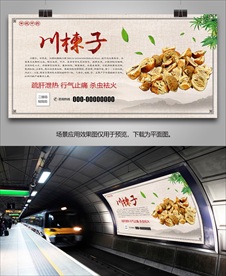 中药川楝子海报灯箱展板展架挂画