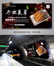 冬虫夏草灯箱海报展板挂画单页