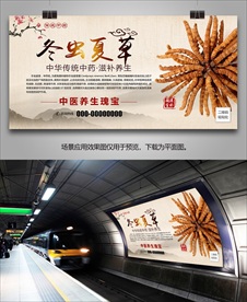 冬虫夏草宣传海报灯箱展板挂画