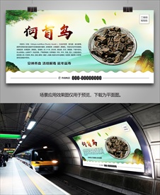 何首乌宣传海报灯箱展板展架挂画