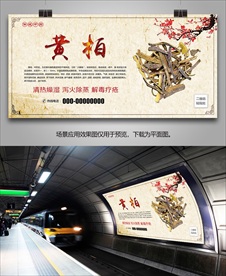 中草药黄柏海报灯箱展板展架挂画