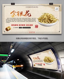 金银花宣传海报灯箱展板挂画单页