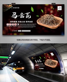 马齿苋海报灯箱展板展架挂画单页