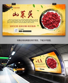 山茱萸宣传海报灯箱展板展架挂画