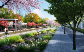 市政道路绿化带景观效果图