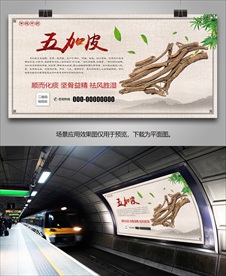 中药五加皮灯箱海报展板展架挂画
