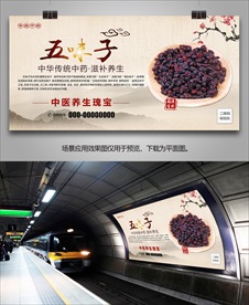 五味子简介单页海报灯箱展板展架
