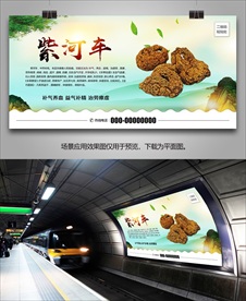 紫河车简介海报灯箱展板挂画单页