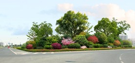 市政道路效果图