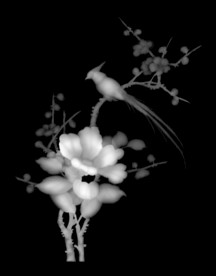 花鸟灰度图