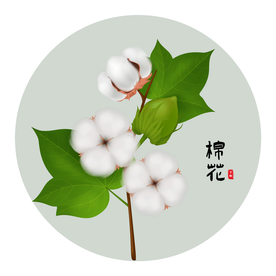 棉花矢量