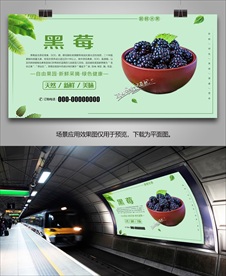 新鲜黑莓挂画展板单页展架易拉宝
