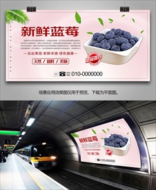 蓝莓灯箱挂画单页展板展架易拉宝