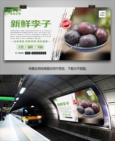 新鲜李子海报易拉宝灯箱展架单页