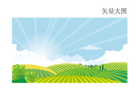 矢量田野