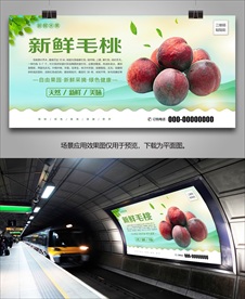 毛桃单页挂画易拉宝展架展板灯箱