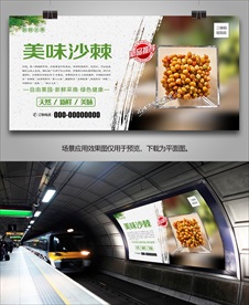 沙棘挂画海报展架单页展板灯箱