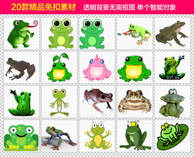青蛙免抠素材设计
