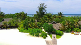 夫妻在码头行走