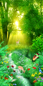 森林风景幽静树林玄关背景墙