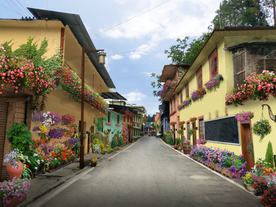 乡村道路民宿花境设计效果图