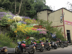 乡村花境景观设计效果图