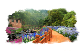 乡村花境景观设计效果图