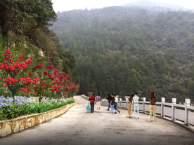 紫薇绿化景观设计