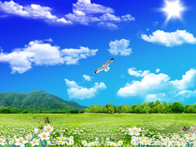 蓝天飞翔