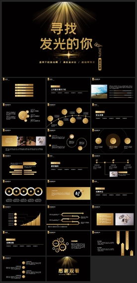 商务会议汇报项目介绍PPT