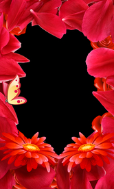 女神节拍照框